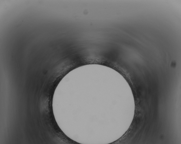 X0000097990162200804011817
