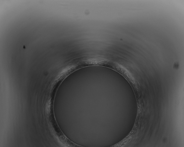 X0000097990163200804011817