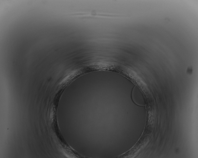 X0000097990165200804011817