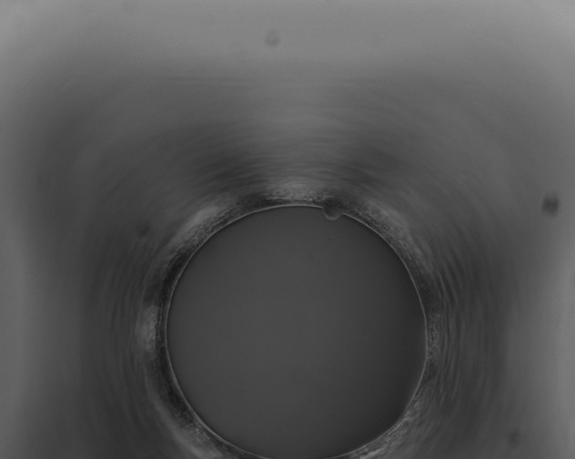 X0000097990167200804011817