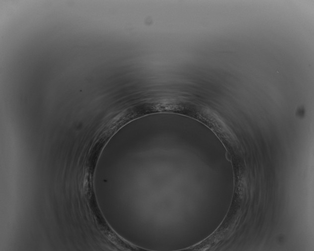 X0000097990169200804011817