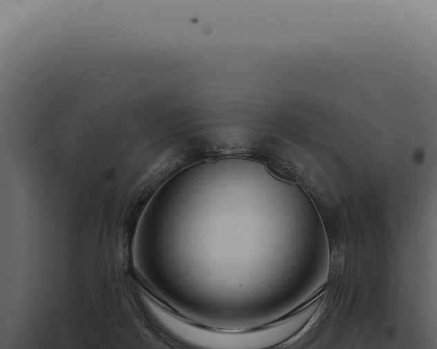 X0000097990170200804011817