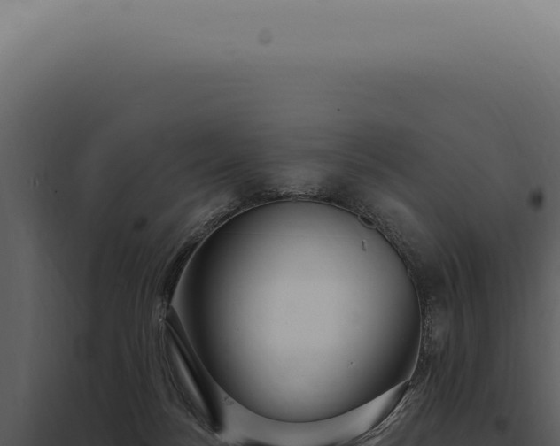 X0000097990172200804011817