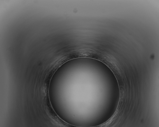 X0000097990174200804011817