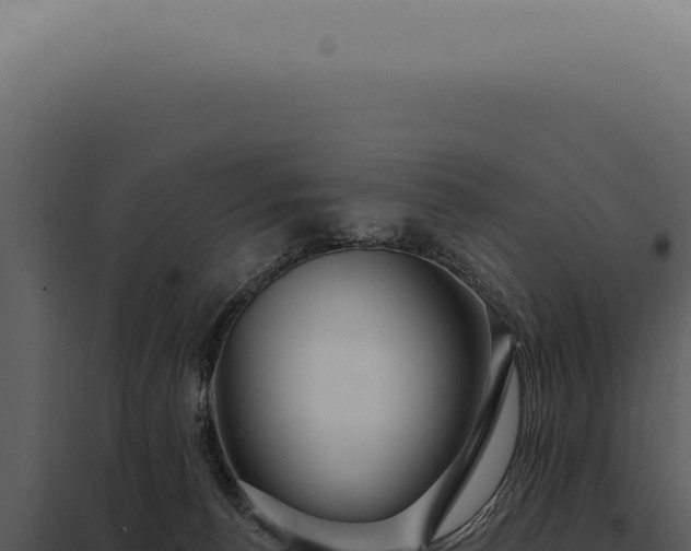 X0000097990176200804011817