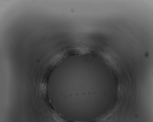 X0000097990177200804011817