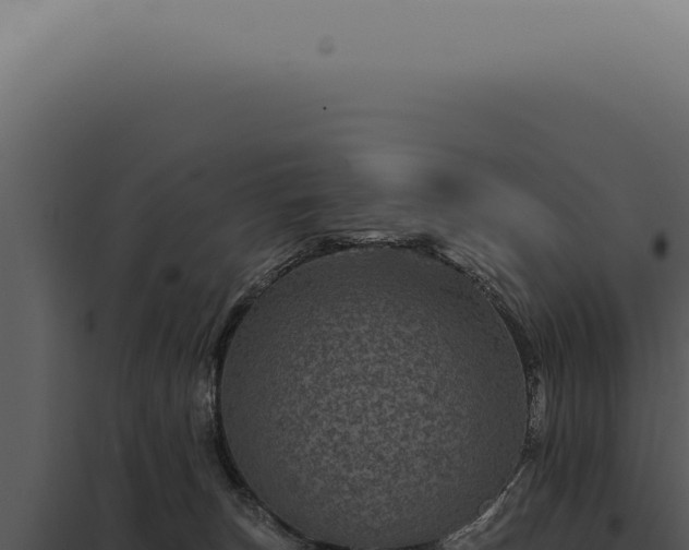 X0000097990179200804011817