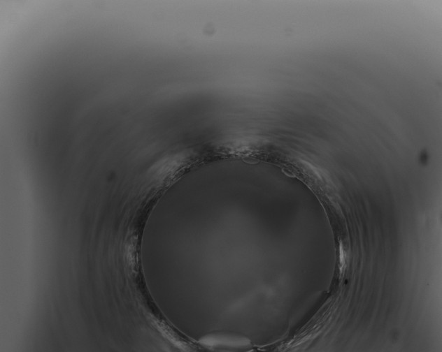 X0000097990181200804011817