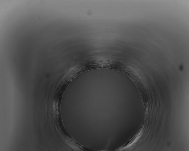 X0000097990182200804011817