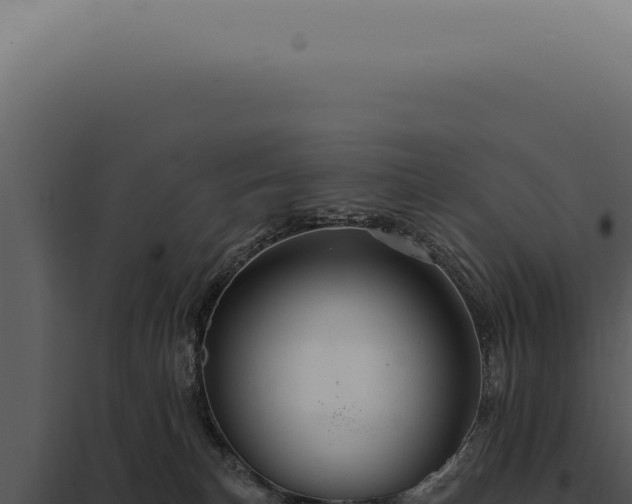 X0000097990183200804011817