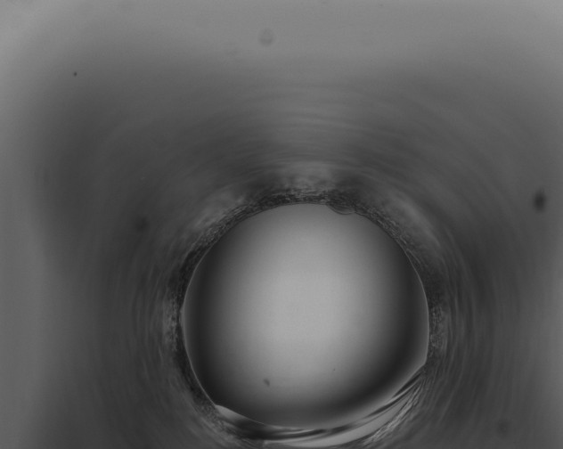X0000097990184200804011817