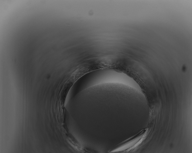 X0000097990186200804011817