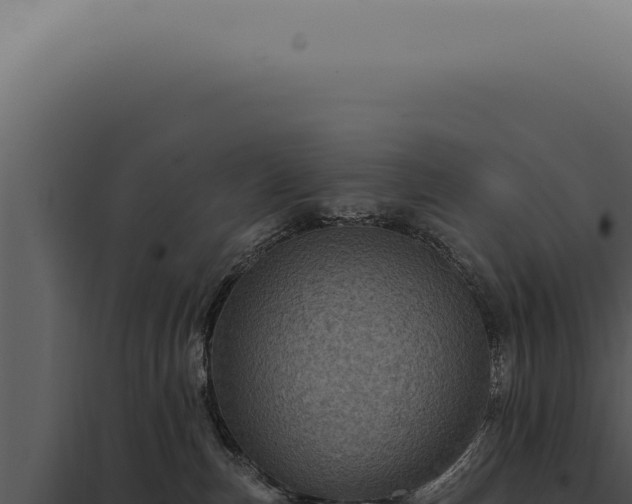 X0000097990187200804011817
