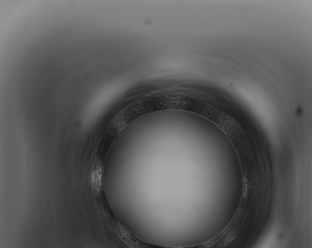 X0000097990190200804011817