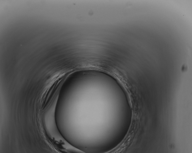 X0000097990193200804011817