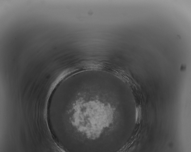 X0000097990195200804011817