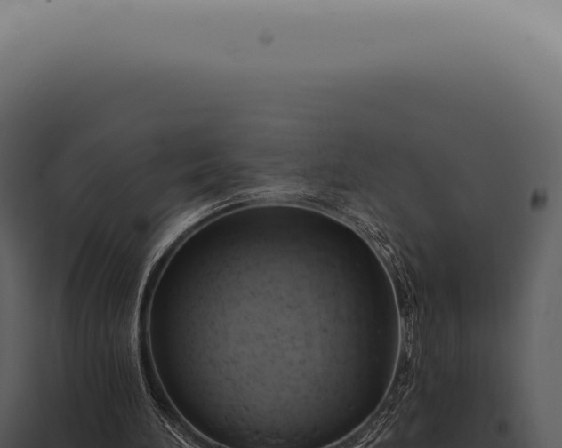 X0000097990196200804011817