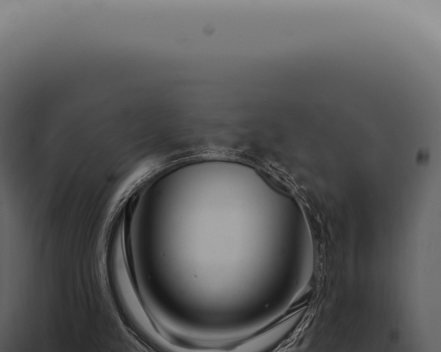 X0000097990197200804011817