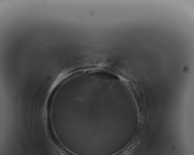 X0000097990198200804011817