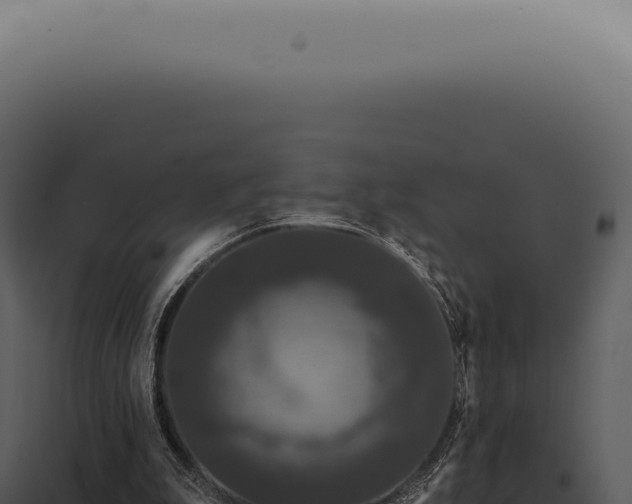 X0000097990199200804011817