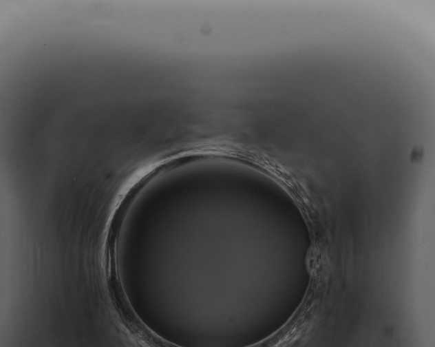 X0000097990200200804011817