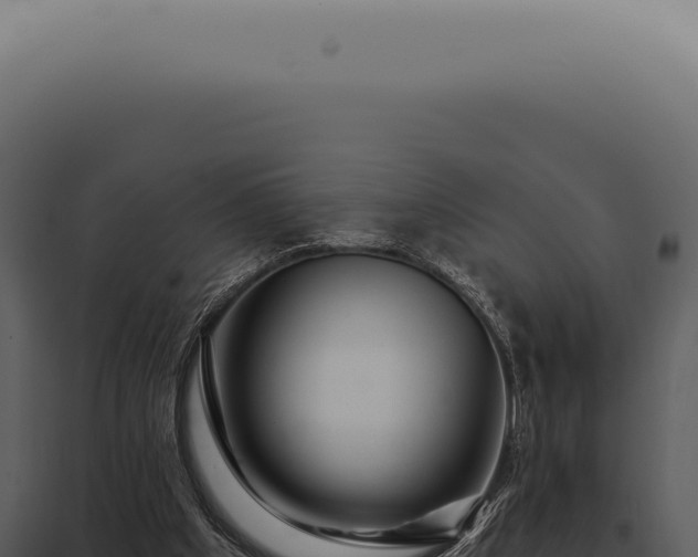 X0000097990201200804011817