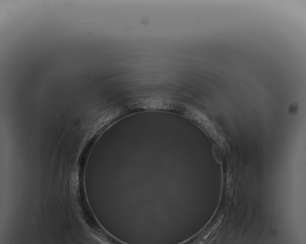 X0000097990202200804011817