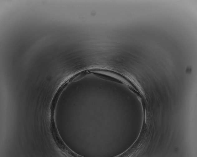 X0000097990204200804011817