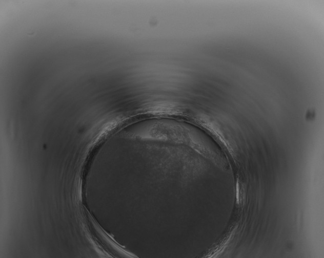 X0000097990205200804011817