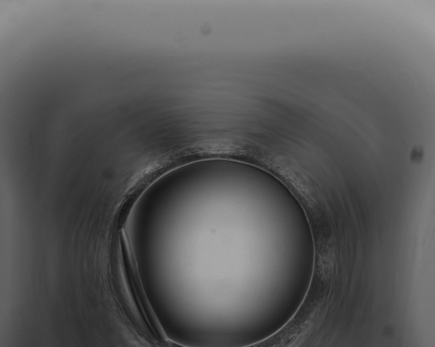 X0000097990207200804011817