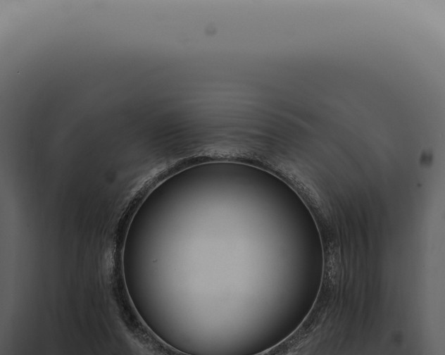 X0000097990208200804011817