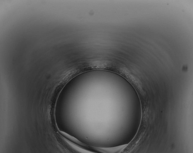 X0000097990209200804011816
