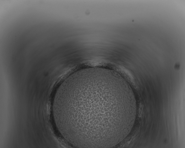 X0000097990210200804011816