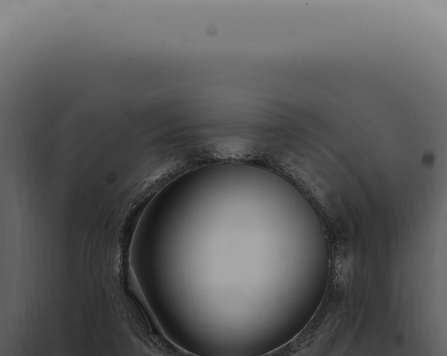X0000097990211200804011816