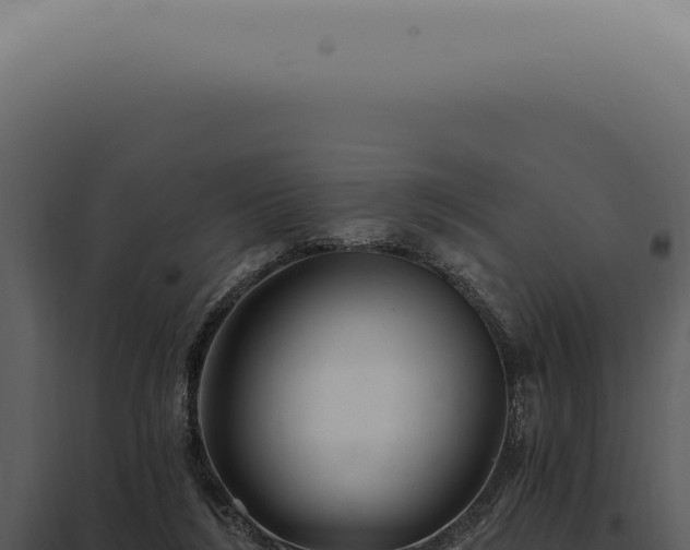 X0000097990212200804011816