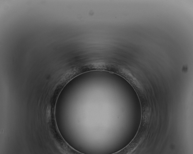 X0000097990213200804011816