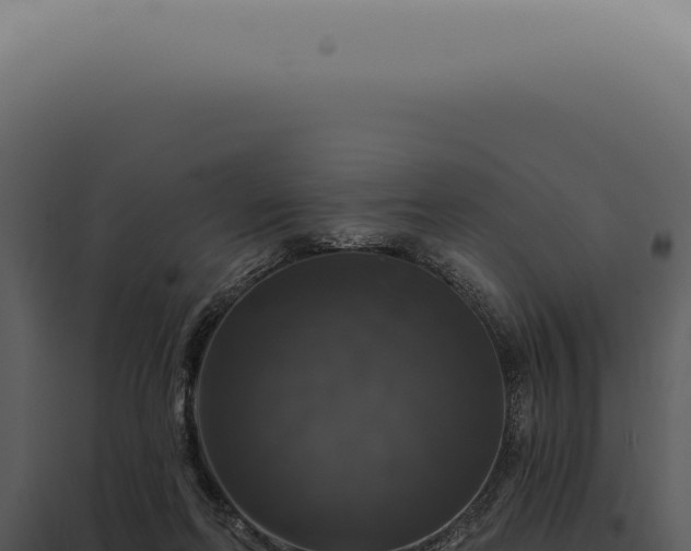 X0000097990214200804011816