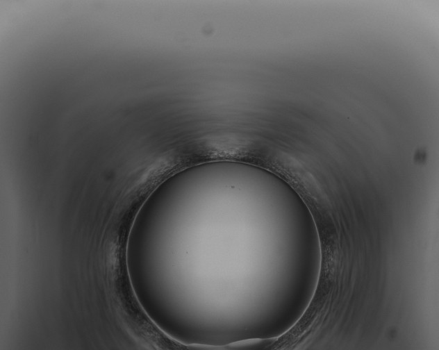 X0000097990215200804011816