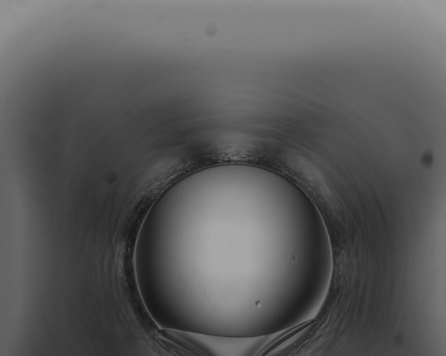 X0000097990217200804011816