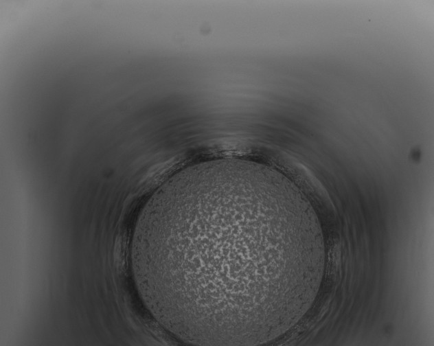 X0000097990218200804011816