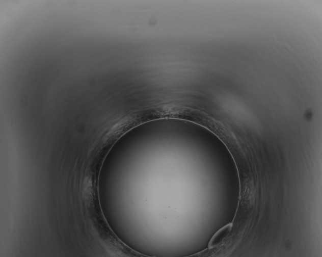 X0000097990220200804011816