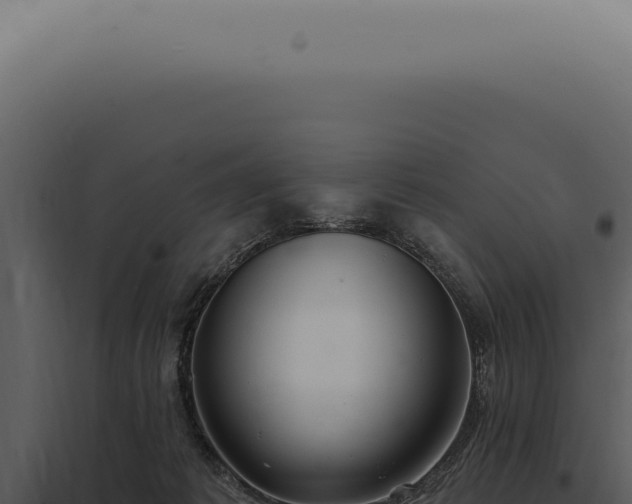 X0000097990221200804011816