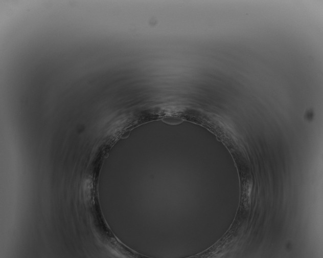 X0000097990222200804011816