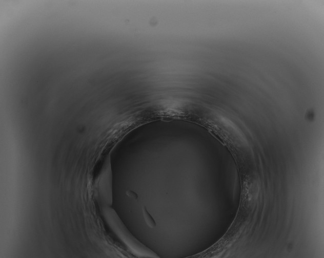 X0000097990223200804011816