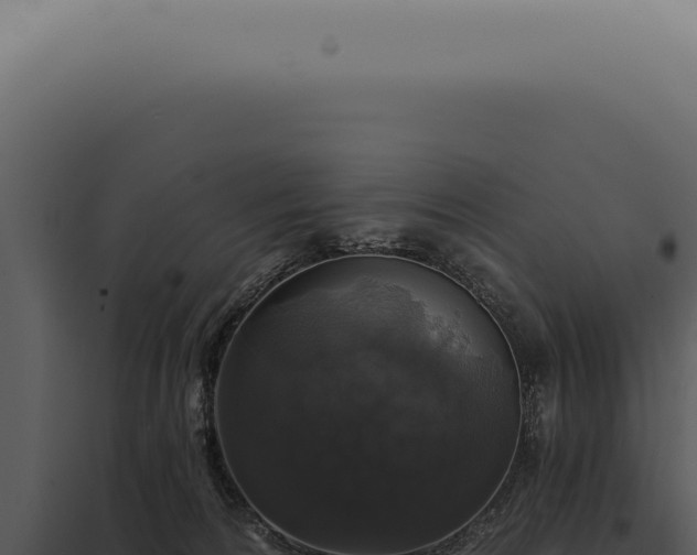 X0000097990224200804011816
