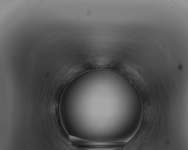 X0000097990225200804011816