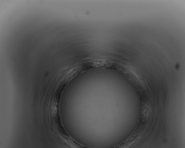 X0000097990226200804011816