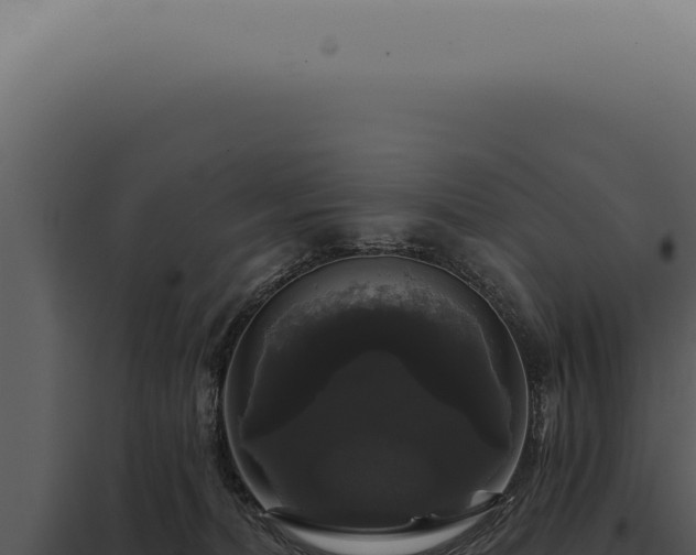 X0000097990228200804011816