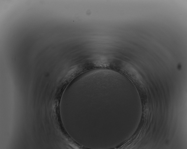 X0000097990229200804011816