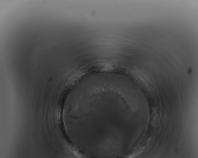 X0000097990230200804011816